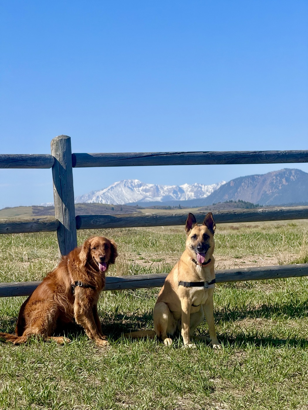 Two best friends