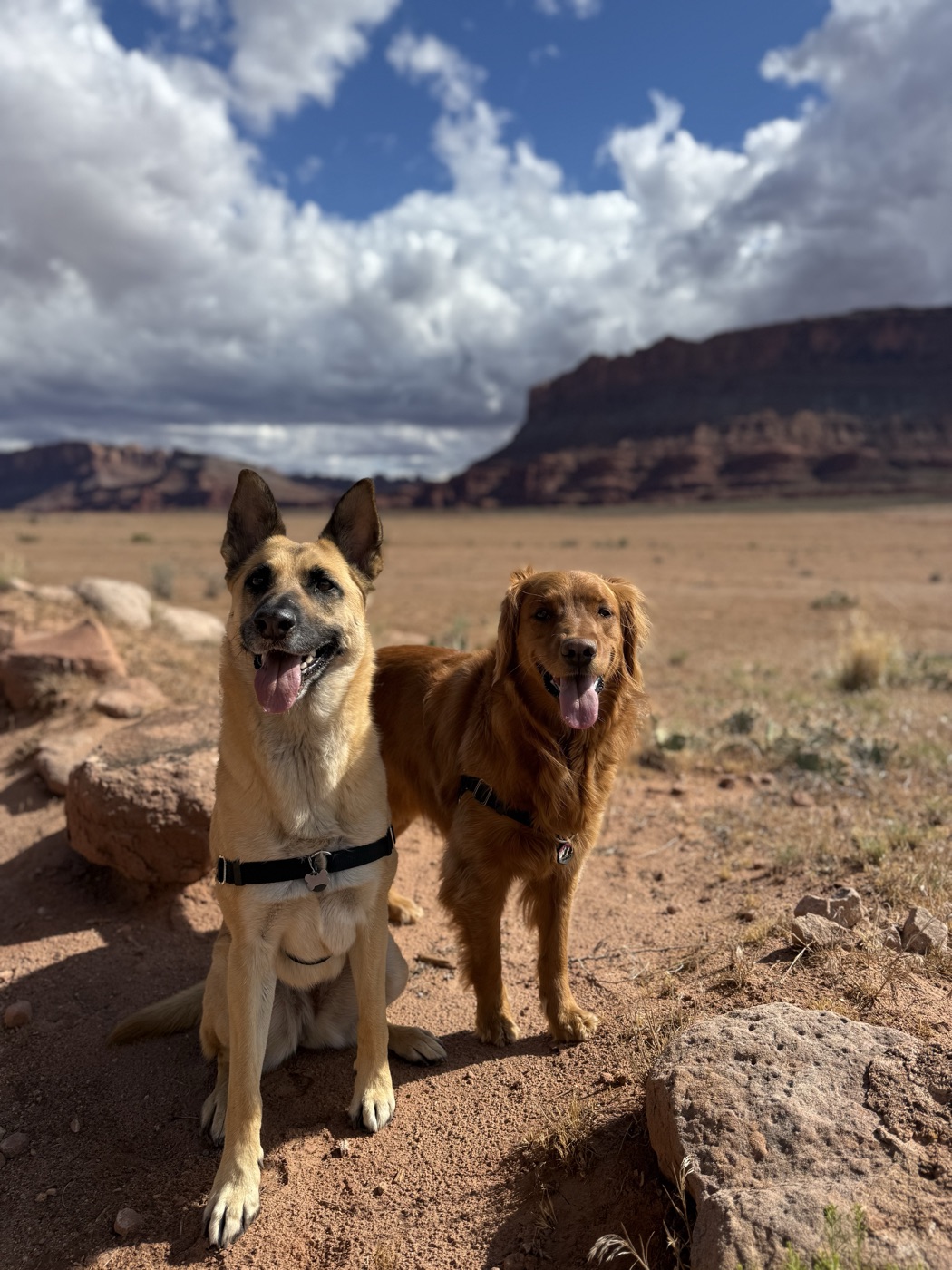 Made for adventure