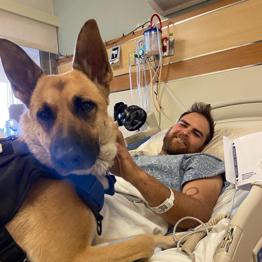 Dylan and the pups in recovery